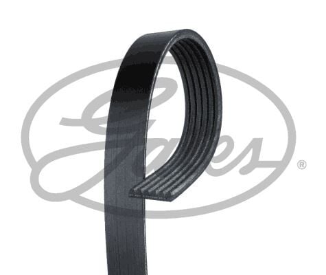 GATES 6PK1090SF KANALLI KAYIŞ P206 1.6HDİ 05> P207 1.4-1.6HDİ 06> P307-C4 1.6HDİ 04> C2 1.4HDİ 03> C3 1.4-1.6 02> - Görsel 1