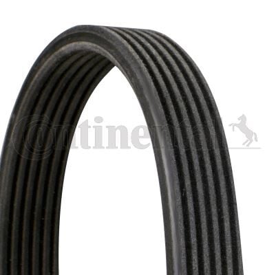 CONTI 6DPK1215 KANALLI KAYIŞ VW CADDY 1.9TDI SDI 8V 04 > 2.0TDI 8V 07 > TRANSPORTER T5 1.9TDI 8V 03-09