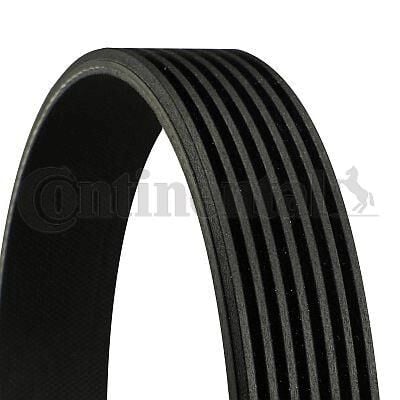 CONTI 7PK1647 7PK1647 Multi V-Belt