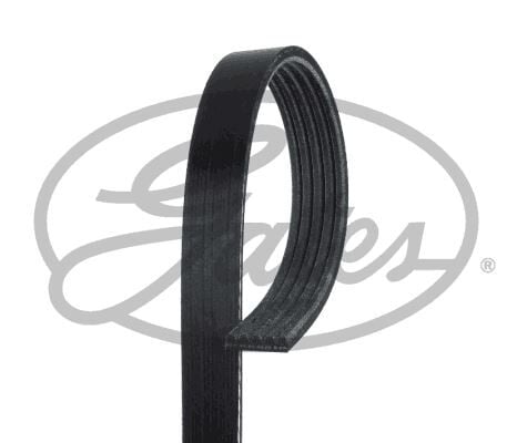 GATES 5PK1495 x KANALLI KAYIŞ CHRYSLER SEBRING 2.5 24V DODGE AVENGER SEBRING 2.5 24V ROVER 820 825 2.5D 8V 584